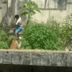 Ministra Molinar pide valorar labor docente tras polémica viral