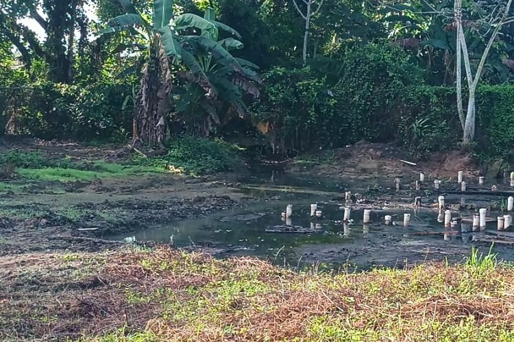 Vecinos de Villa Marina exigen solución a colapso de alcantarillado