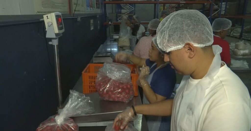 Panamá impulsa cooperación regional en bancos de alimentos