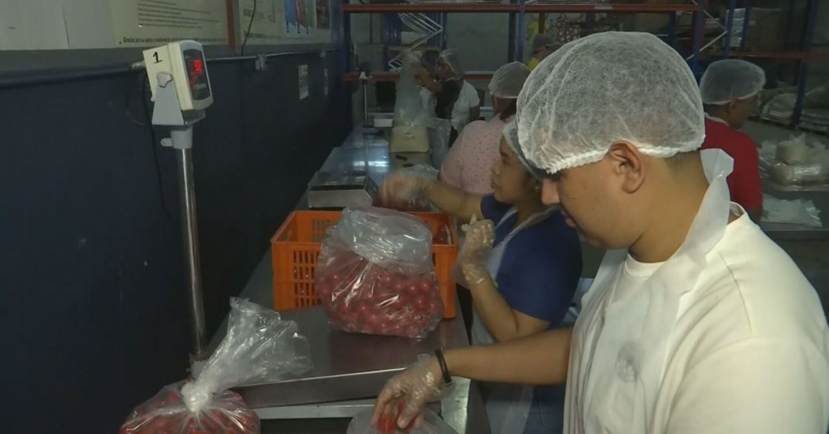 Panamá impulsa cooperación regional en bancos de alimentos