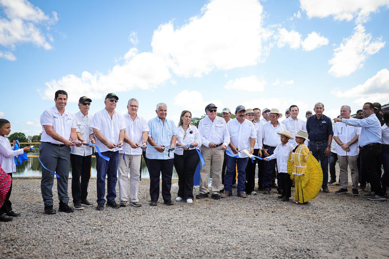 Mulino inaugura riego en Alanje y expande área agrícola a 3,500 ha