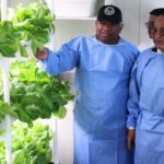 Panamá inicia vacunación nacional contra influenza con 384 mil dosis