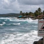 Arroceros en Panamá exigen mantener normas de calidad del arroz