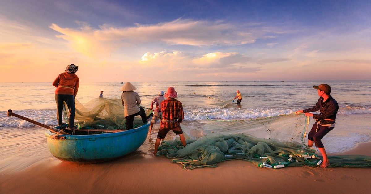 Panamá prueba dispositivos concentradores de peces en pesca deportiva