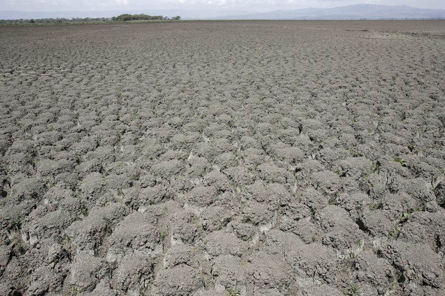 COP17 cierra sin pacto de sequía pero logra 1.300 millones dólares